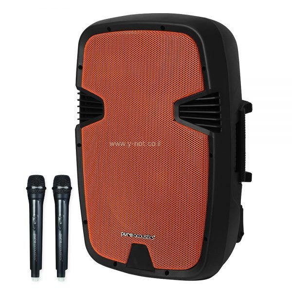 בידורית <b> PURE ACOUSTICS PMW-3012 </b>