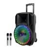 בידורית <b> ”12 PURE ACOUSTICS ZX-200 </b>