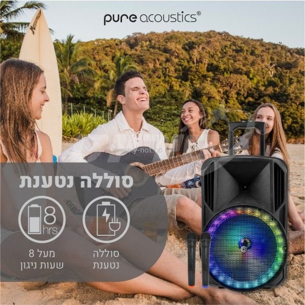 בידורית <b> ”12 PURE ACOUSTICS ZX-200 </b> – תמונה 4